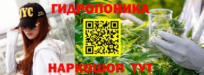 молекула духа Донецк