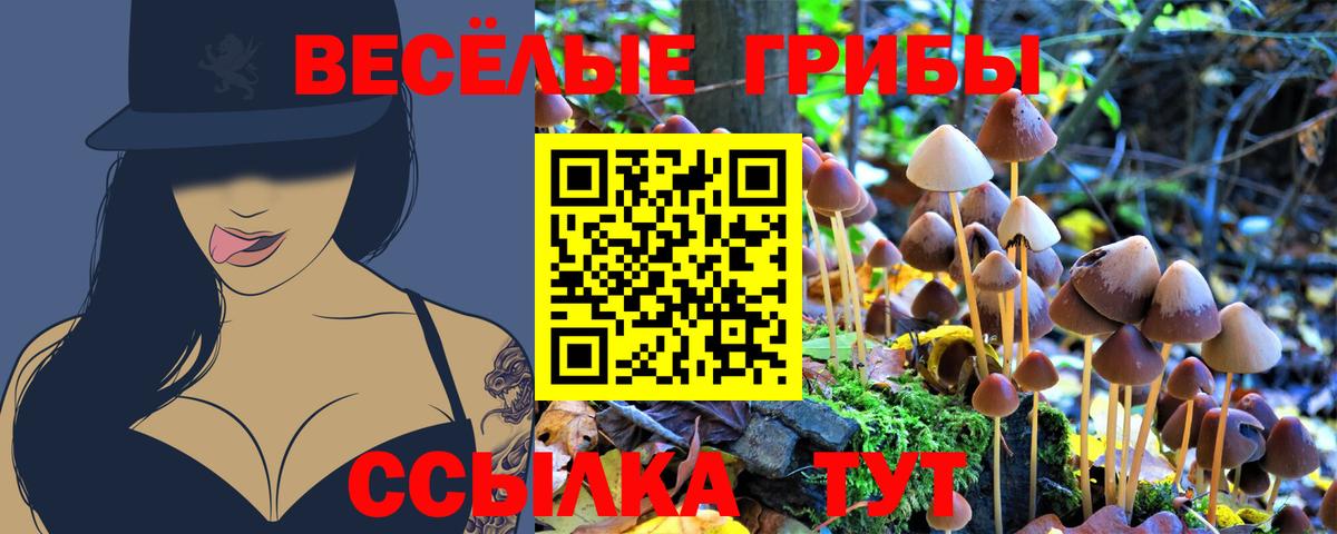 Псилоцибиновые грибы Psilocybe  Вход с VPN  Лениногорск  Псилоцибиновые грибы MAGIC MUSHROOMS 